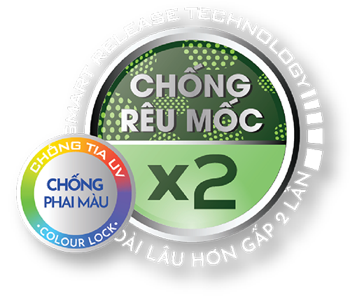 CÔNG TY CỔ PHẦN CÔNG NGHỆ COLORCITY