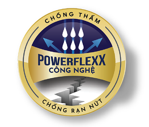 CÔNG TY CỔ PHẦN CÔNG NGHỆ COLORCITY