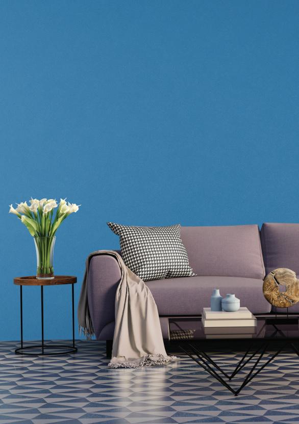 CÔNG TY CỔ PHẦN CÔNG NGHỆ COLORCITY