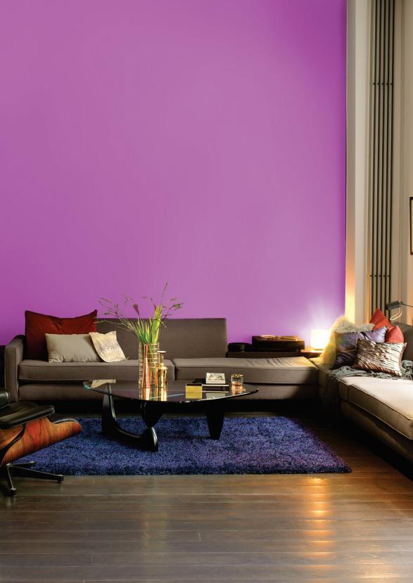 CÔNG TY CỔ PHẦN CÔNG NGHỆ COLORCITY