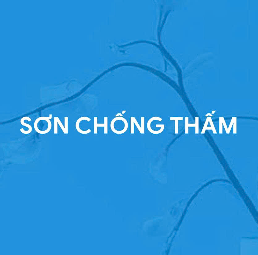 CÔNG TY CỔ PHẦN CÔNG NGHỆ COLORCITY